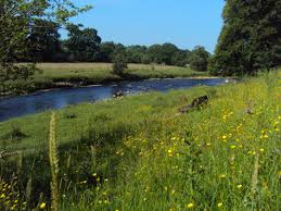 Image result for Ribble Valley Crc