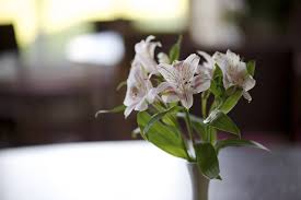 Image result for Glossop & District Golf Club