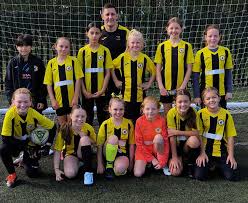Image result for Brendon Bees Junior Football Club