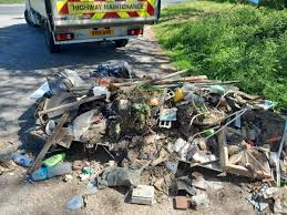 Image result for Basingstoke Bullets