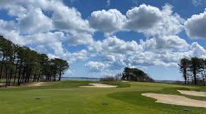 Image result for Delphi Bowls Club