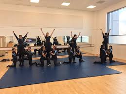 Image result for Chiltern Cheetahs