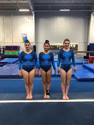 Image result for Maple Gymnastics Club