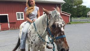 Image result for Winchester Riding Club