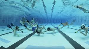 Image result for Plymouth Underwater Hockey Club