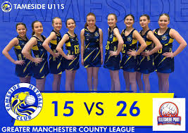 Image result for Sanders Netball Club