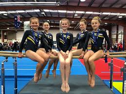 Image result for Aerodyne Gymnastics Club