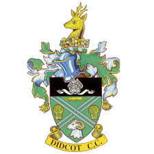 Image result for Didcot Netball Club