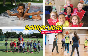 Image result for Berkshire Royals Dodgeball Club