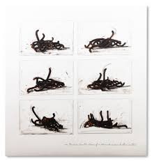 Attēlu rezultāti vaicājumam “undetermined”