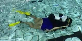 Image result for Stalybridge Snorkel Club