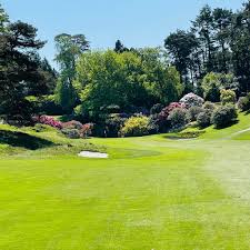 Image result for Hindhead Golf Club
