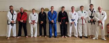 Image result for Cornwall Tae Kwon-Do