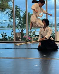 Image result for Fudokai Aikido Dojo