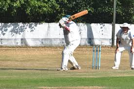 Image result for Waverley Cricket Club