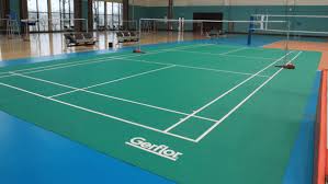 Image result for Tara Sports Badminton Club