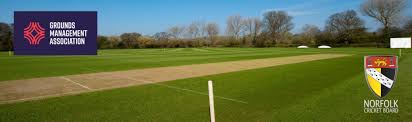Image result for Horsford Cricket Club