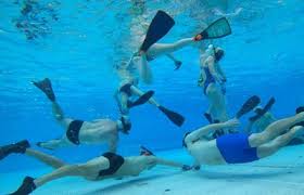 Image result for Dublin Underwater Hockey Team
