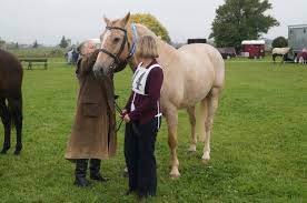Image result for Thames Valley Riding Club