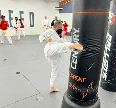 Image result for St Helen`s School Of Taekwondo