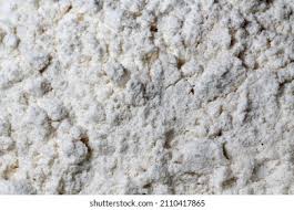 Attēlu rezultāti vaicājumam “Brefeldia maxima macro”