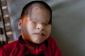 Image result for агент оранж