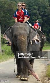 Image result for pinawella