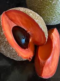 Attēlu rezultāti vaicājumam “Libanotis montana fruit”