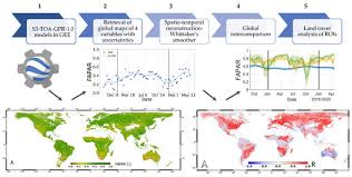 Image result for geografs sense fronteres