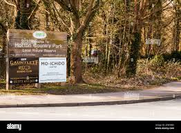 Image result for MO-ICHIDO