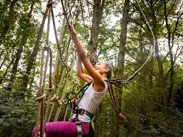 Image result for Go Ape! Thetford