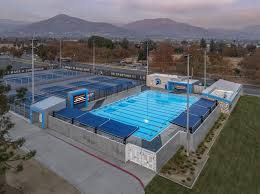 Image result for Selby Tiger Sharks Swimming Club