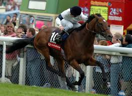 Image result for image Motivator