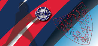 Image result for Stocksbridge Netball Club