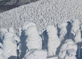 Картинки по запросу япония снег дороги