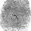 Fingerprint
