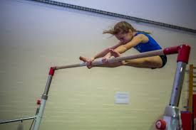 Image result for Tamworth Olympic Gymnastics Club