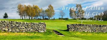 Image result for Bridge Of Allan Sports Club