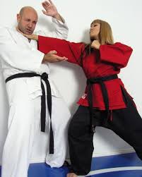 Image result for Devines Martial Arts