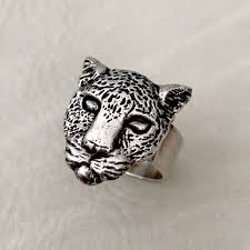 Image result for Argent Silver 1981 Jaguar