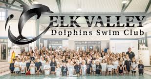 Image result for Dearne Valley Swimming Club