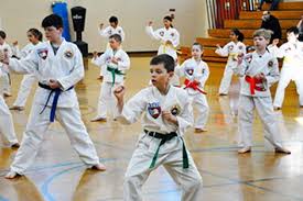 Image result for Absolute tae kwon do association