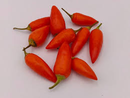 Afbeeldingsresultaat voor chili maya hot pepper hot pepper
