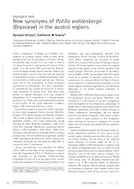 Attēlu rezultāti vaicājumam “Pohlia wahlenbergii var. calcarea”