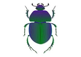 Attēlu rezultāti vaicājumam “Trypocopris vernalis”