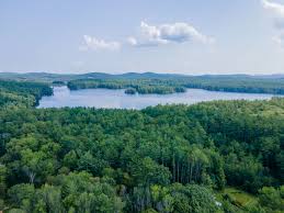 Image result for South Holderness Gc