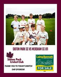 Image result for Sibton Park Cricket Club