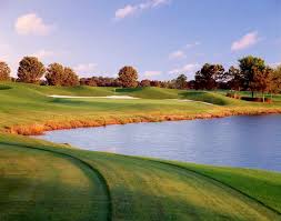 Image result for Falcon Sa Club