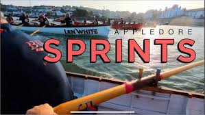 Image result for Appledore Pilot Gig Club