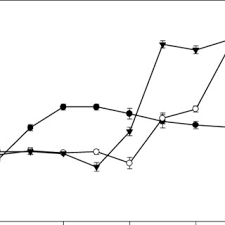 Attēlu rezultāti vaicājumam “Anomodon viticulosus sporophyte”